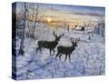 Stretched Canvas