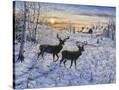 Stretched Canvas