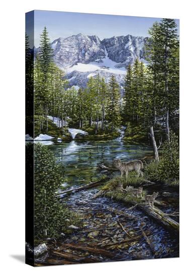 Stretched Canvas Print, , large