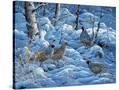 Stretched Canvas
