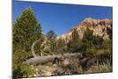 Wood Mount