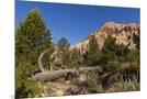 Wood Mount