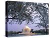 Jefferson Memorial and Cherry Blossoms at Sunrise, Tidal Basin, Washington Dc, Usa-Scott T. Smith-Stretched Canvas