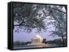 Jefferson Memorial and Cherry Blossoms at Sunrise, Tidal Basin, Washington Dc, Usa-Scott T. Smith-Framed Stretched Canvas