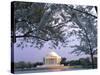 Jefferson Memorial and Cherry Blossoms at Sunrise, Tidal Basin, Washington Dc, Usa-Scott T. Smith-Stretched Canvas