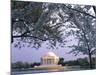 Jefferson Memorial and Cherry Blossoms at Sunrise, Tidal Basin, Washington Dc, Usa-Scott T. Smith-Mounted Photographic Print