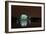 Jefferson Memorial at Night, Washington DC-sborisov-Framed Photographic Print