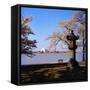 Jefferson Memorial from across the Lake-null-Framed Stretched Canvas