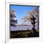 Jefferson Memorial from across the Lake-null-Framed Photographic Print