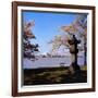 Jefferson Memorial from across the Lake-null-Framed Photographic Print