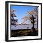 Jefferson Memorial from across the Lake-null-Framed Photographic Print