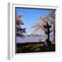 Jefferson Memorial from across the Lake-null-Framed Photographic Print