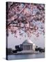 Jefferson Memorial, Washington, D.C., USA-null-Stretched Canvas