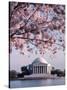 Jefferson Memorial, Washington, D.C., USA-null-Stretched Canvas