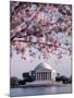 Jefferson Memorial, Washington, D.C., USA-null-Mounted Photographic Print