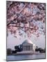 Jefferson Memorial, Washington, D.C., USA-null-Mounted Photographic Print