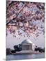 Jefferson Memorial, Washington, D.C., USA-null-Mounted Photographic Print