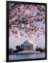 Jefferson Memorial, Washington, D.C., USA-null-Framed Photographic Print