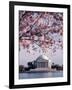 Jefferson Memorial, Washington, D.C., USA-null-Framed Photographic Print