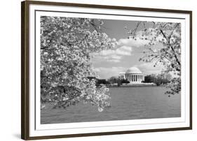 Jefferson Memorial with cherry blossoms, Washington, D.C. - Black and White Variant-Carol Highsmith-Framed Art Print