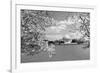 Jefferson Memorial with cherry blossoms, Washington, D.C. - Black and White Variant-Carol Highsmith-Framed Art Print