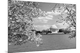 Jefferson Memorial with cherry blossoms, Washington, D.C. - Black and White Variant-Carol Highsmith-Mounted Art Print