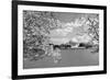 Jefferson Memorial with cherry blossoms, Washington, D.C. - Black and White Variant-Carol Highsmith-Framed Art Print