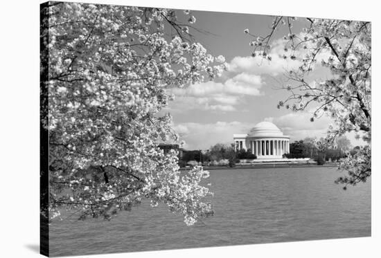 Jefferson Memorial with cherry blossoms, Washington, D.C. - Black and White Variant-Carol Highsmith-Stretched Canvas