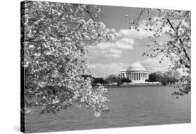 Jefferson Memorial with cherry blossoms, Washington, D.C. - Black and White Variant-Carol Highsmith-Stretched Canvas