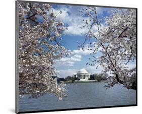 Jefferson Memorial with cherry blossoms, Washington, D.C. - Vintage Style Photo Tint Variant-Carol Highsmith-Mounted Art Print