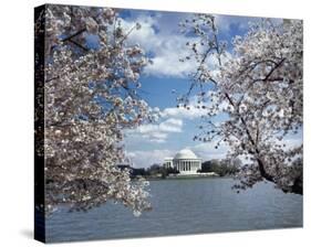 Jefferson Memorial with cherry blossoms, Washington, D.C. - Vintage Style Photo Tint Variant-Carol Highsmith-Stretched Canvas