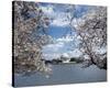 Jefferson Memorial with cherry blossoms, Washington, D.C. - Vintage Style Photo Tint Variant-Carol Highsmith-Stretched Canvas