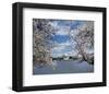 Jefferson Memorial with cherry blossoms, Washington, D.C.-Carol Highsmith-Framed Art Print