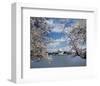 Jefferson Memorial with cherry blossoms, Washington, D.C.-Carol Highsmith-Framed Art Print