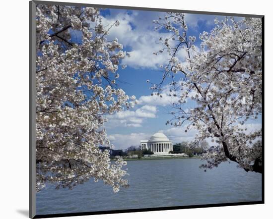 Jefferson Memorial with cherry blossoms, Washington, D.C.-Carol Highsmith-Mounted Art Print