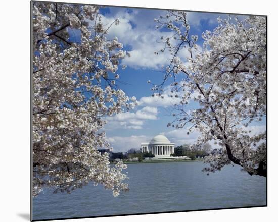 Jefferson Memorial with cherry blossoms, Washington, D.C.-Carol Highsmith-Mounted Art Print