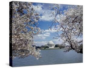 Jefferson Memorial with cherry blossoms, Washington, D.C.-Carol Highsmith-Stretched Canvas