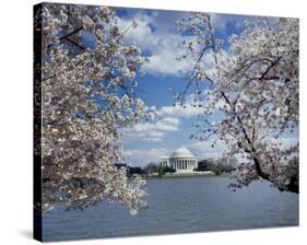 Jefferson Memorial with cherry blossoms, Washington, D.C.-Carol Highsmith-Stretched Canvas