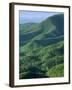 Jefferson National Forest, Virginia, USA-Charles Gurche-Framed Premium Photographic Print