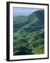 Jefferson National Forest, Virginia, USA-Charles Gurche-Framed Premium Photographic Print