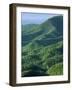 Jefferson National Forest, Virginia, USA-Charles Gurche-Framed Photographic Print