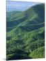 Jefferson National Forest, Virginia, USA-Charles Gurche-Mounted Photographic Print