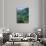 Jefferson National Forest, Virginia, USA-Charles Gurche-Photographic Print displayed on a wall