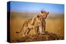 Stretched Canvas