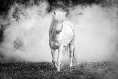 Brothers for Life-Jeffrey C. Sink-Mounted Photographic Print