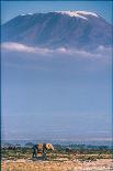 Kilimanjaro and the Quiet Sentinels-Jeffrey C. Sink-Photographic Print