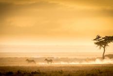 Kilimanjaro and the Quiet Sentinels-Jeffrey C. Sink-Photographic Print