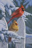 Christmas Cards-Jeffrey Hoff-Giclee Print