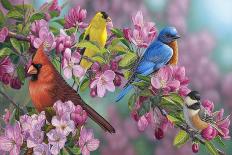 Goldfinch Lupine-Jeffrey Hoff-Giclee Print