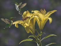 Goldfinch Lupine-Jeffrey Hoff-Giclee Print